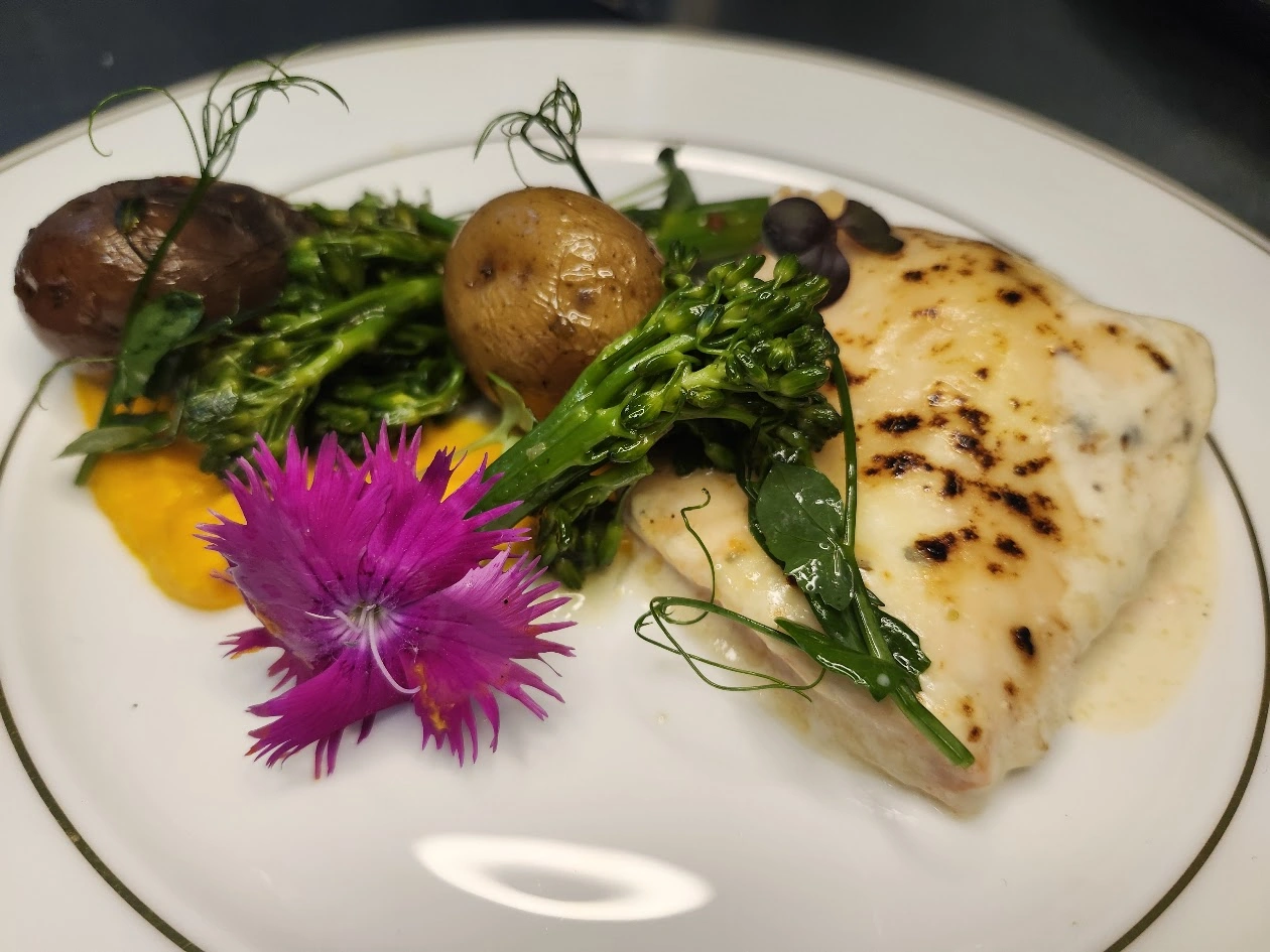 Photo : Saumon de l'Atlantique gratiné